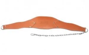 Ett dipsbälte från schiek